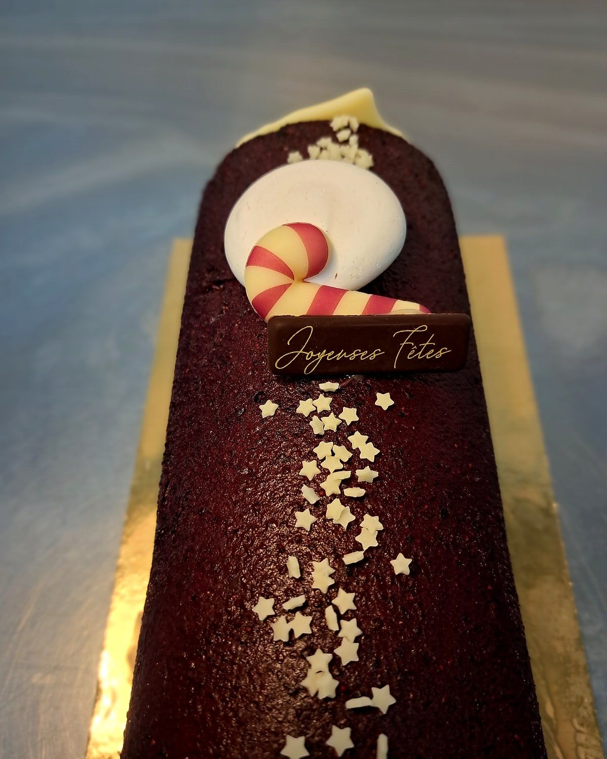 Bûche de Noël glacée Froo au chocolat, décorée d'étoiles en chocolat blanc